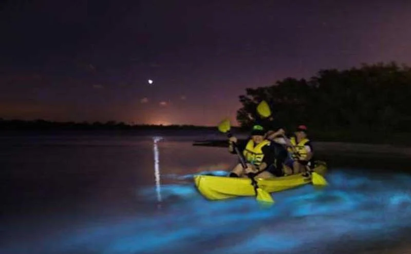 Kayaking Through Liquid Light