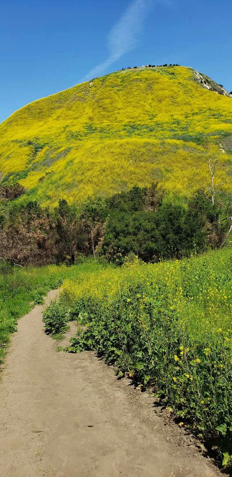 Route Breakdown: From Pavement to Falls