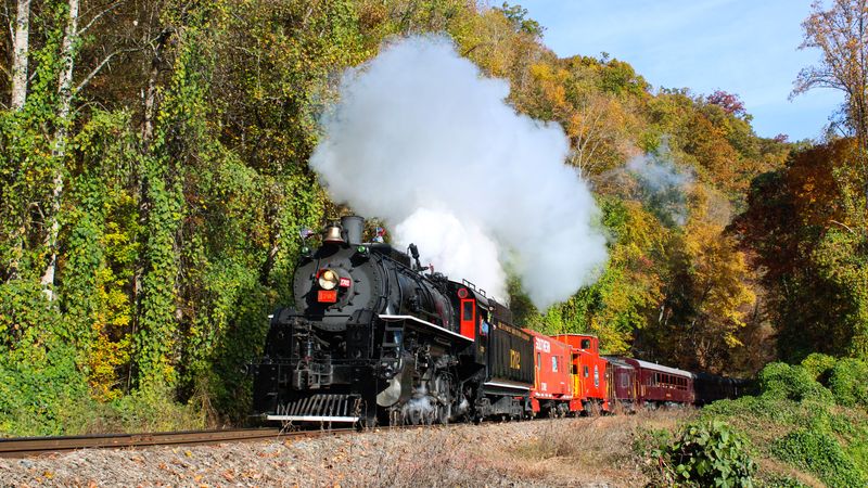 Seasonal Highlights: Foliage, Spring Blooms, and Winter Magic