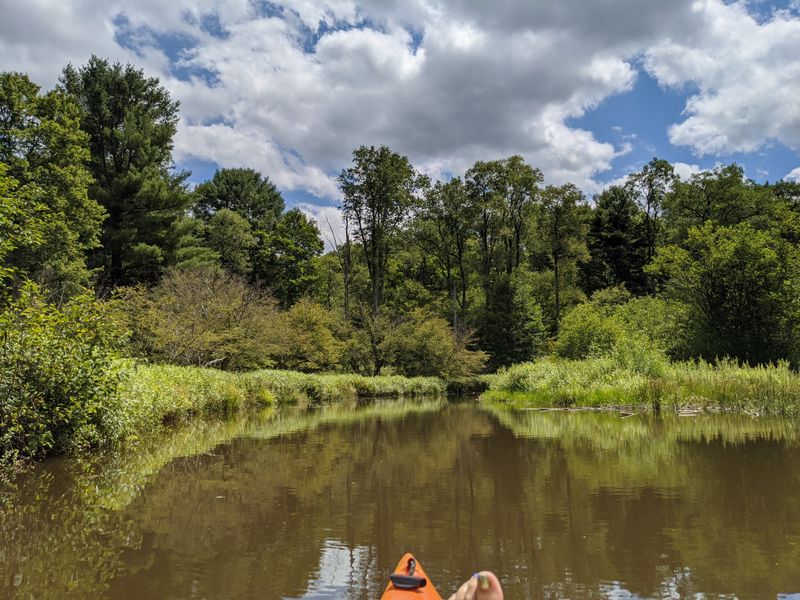 Why Chapman State Park Is Worth the Detour