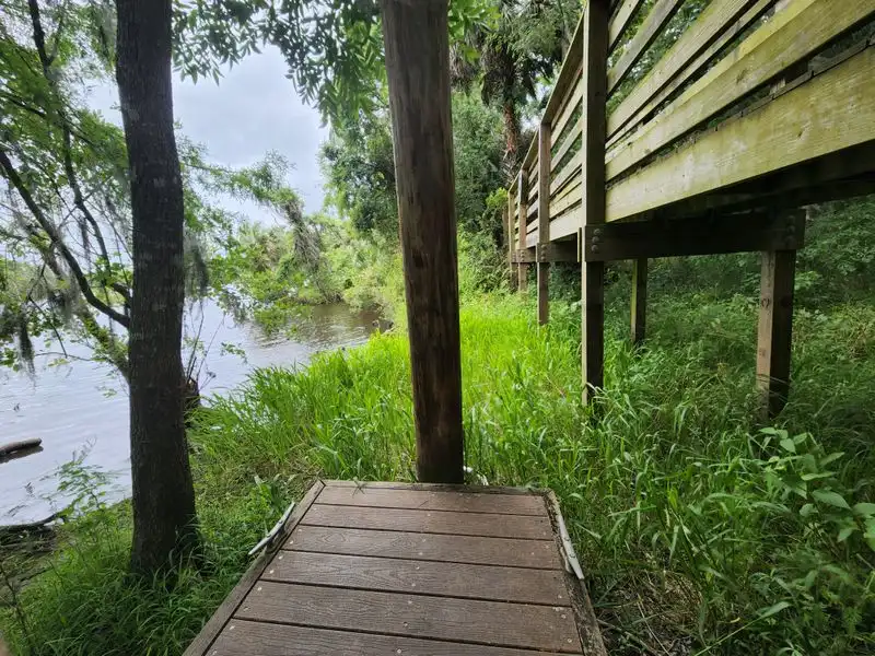 Safety Tips for Hiking in Bear Country