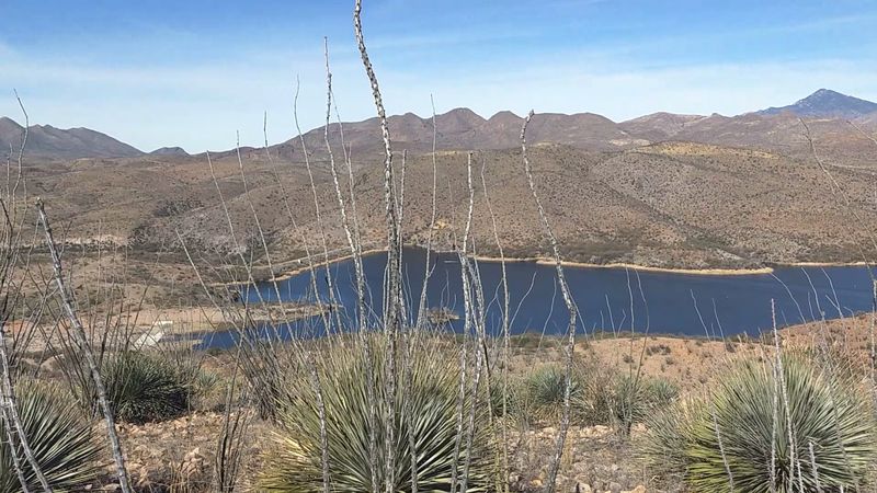 Why It Hasn&rsquo;t Been Overrun &mdash; and Why That Matters