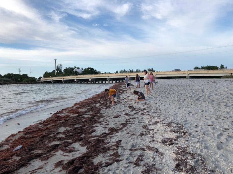Safety First: Currents, Signs, and Smart Choices