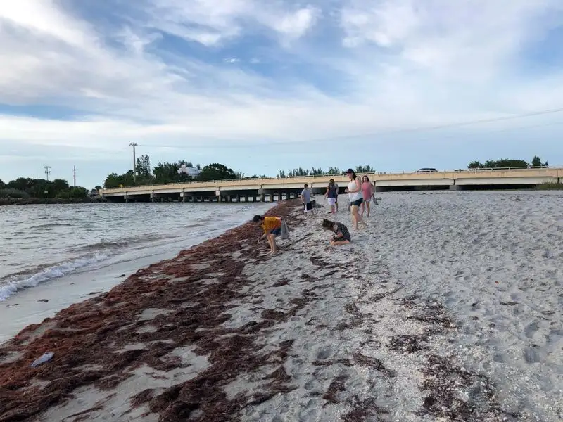 Safety First: Currents, Signs, and Smart Choices