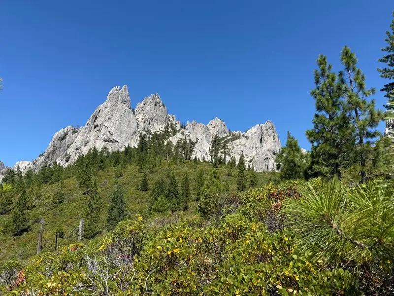 Why It Barely Feels Real