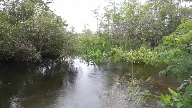 Photography tips from the driver seat