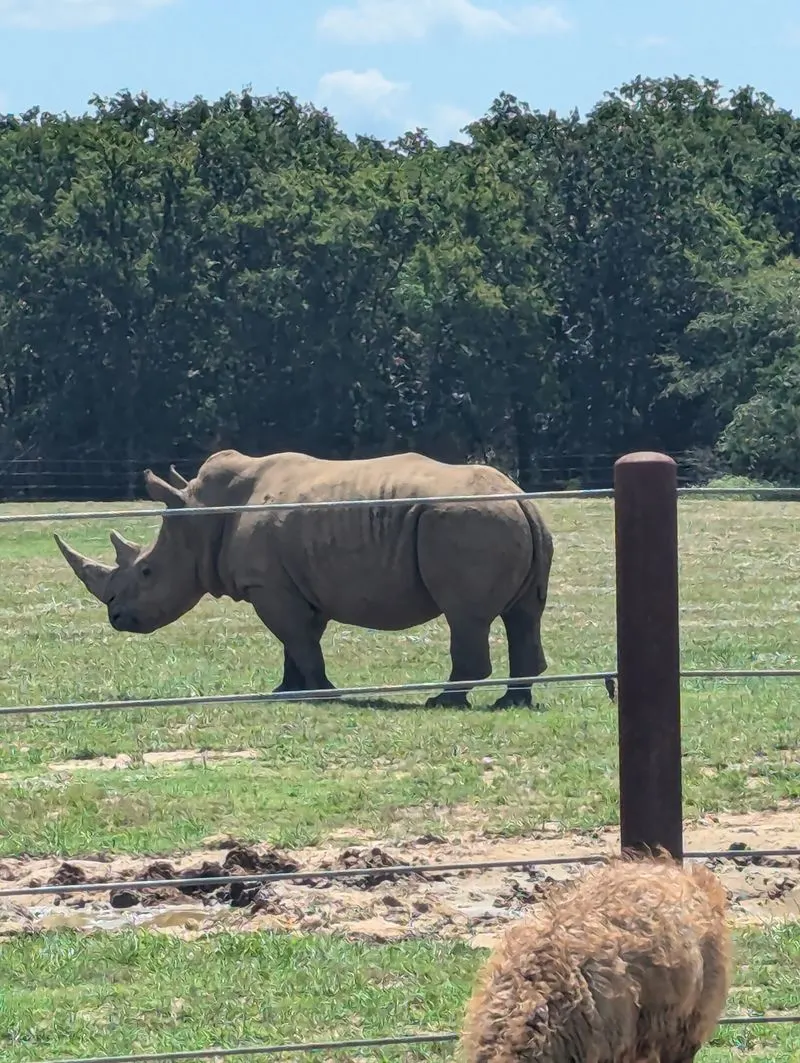 Photography tips from the driver seat without stressing wildlife