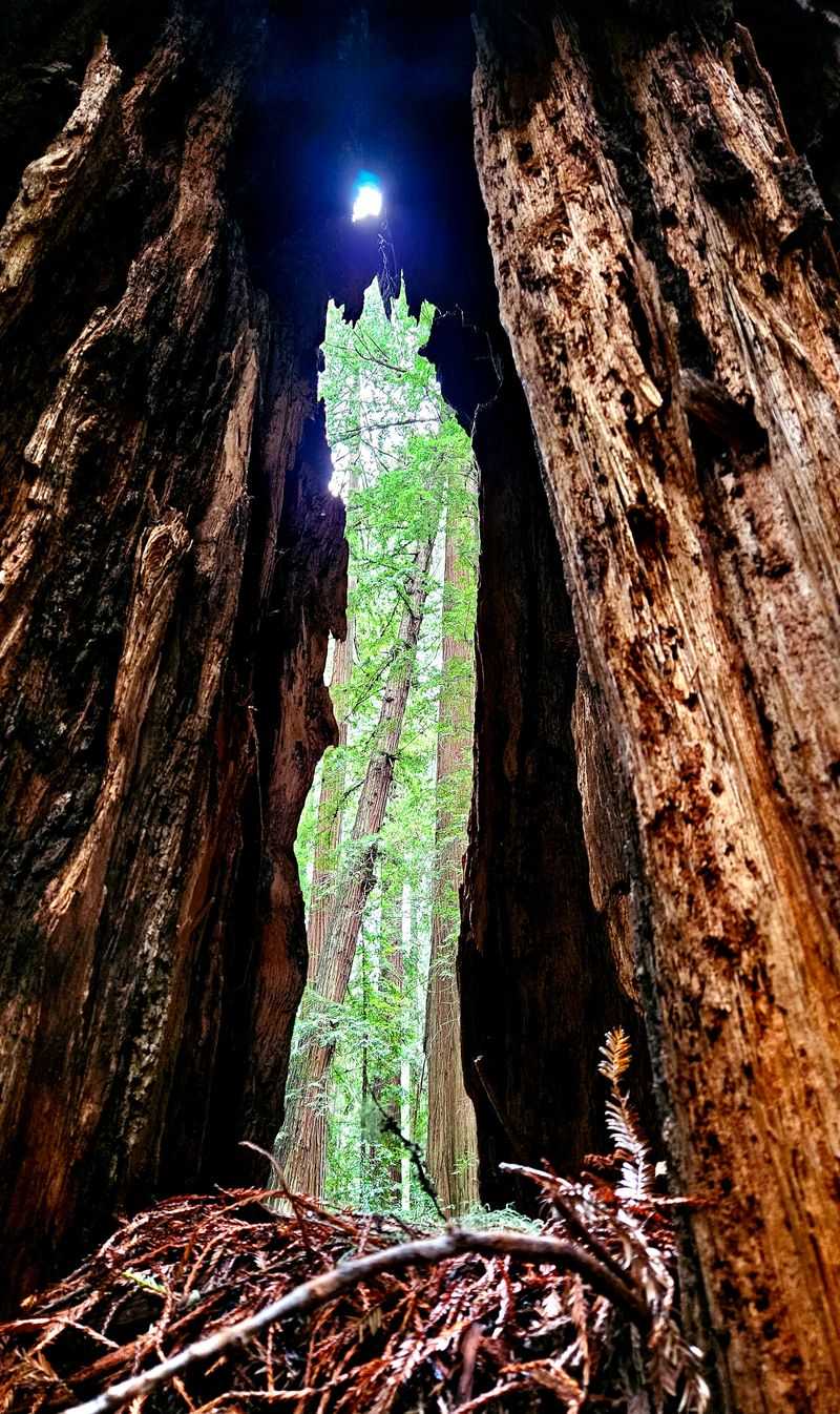 What you will see along the way