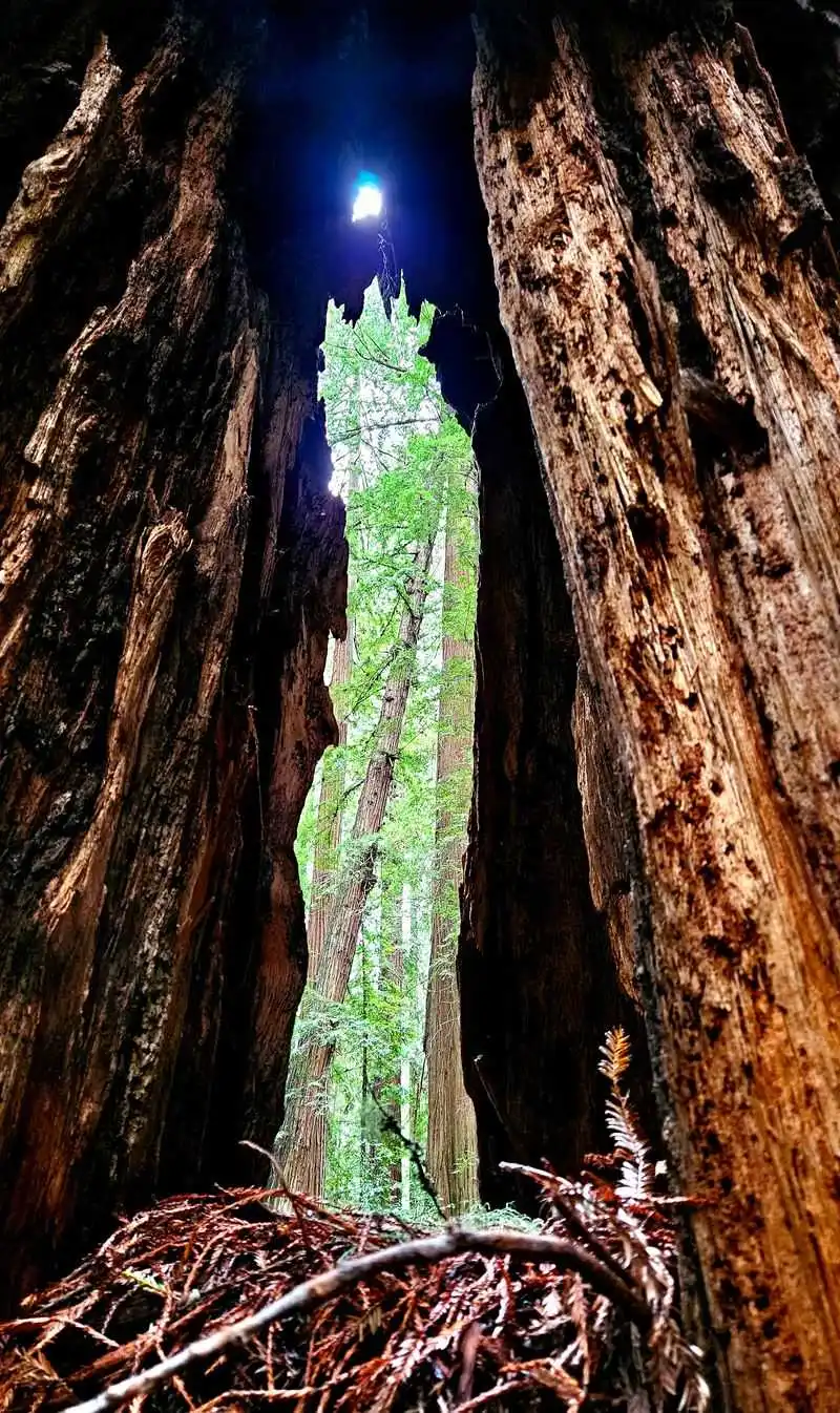 What you will see along the way