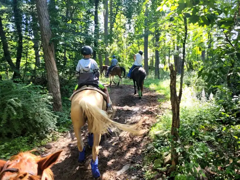 Pricing expectations and value