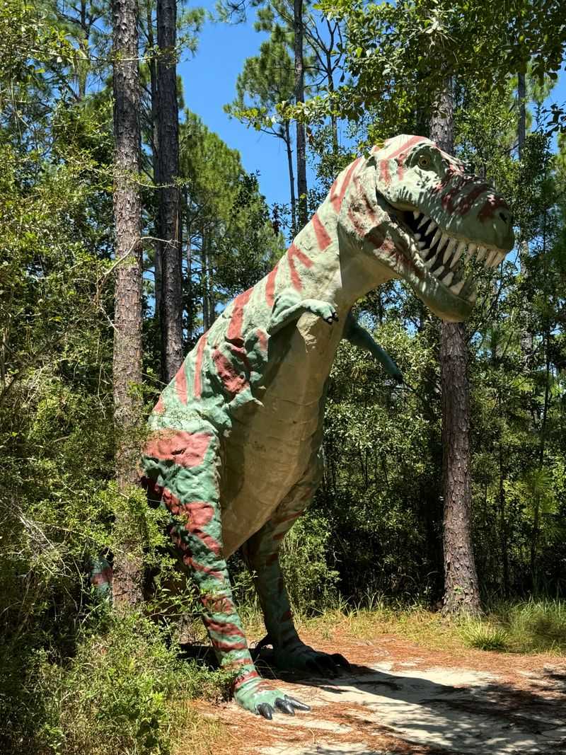 Photo ops and angles you should not miss