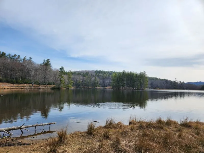 Scenic highlights: reflections, manor views, and wildlife