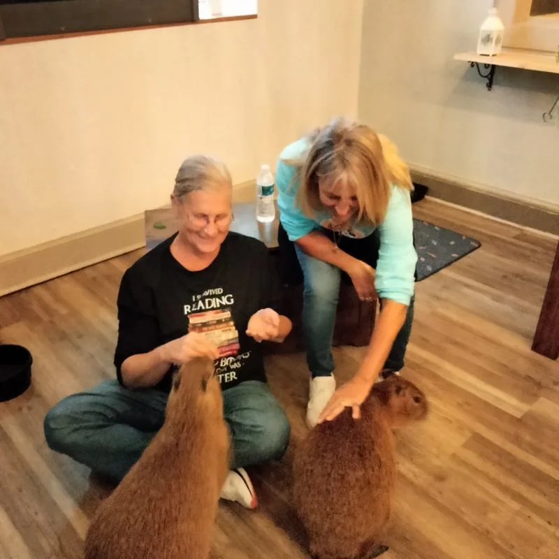 Cost, value, and how to choose your session