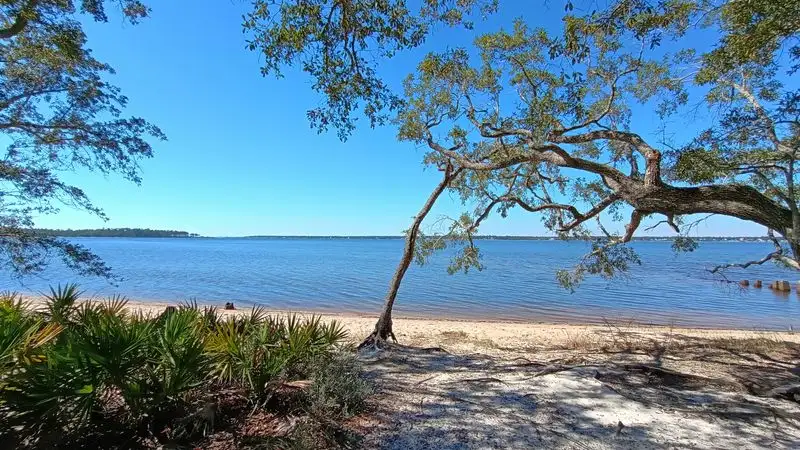 Tarkiln Bayou Preserve State Park