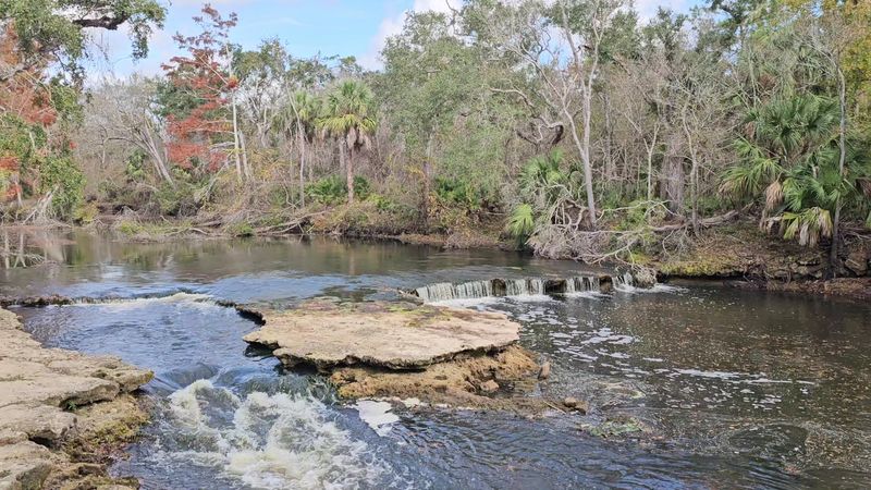 Steinhatchee Falls &mdash; Steinhatchee River area