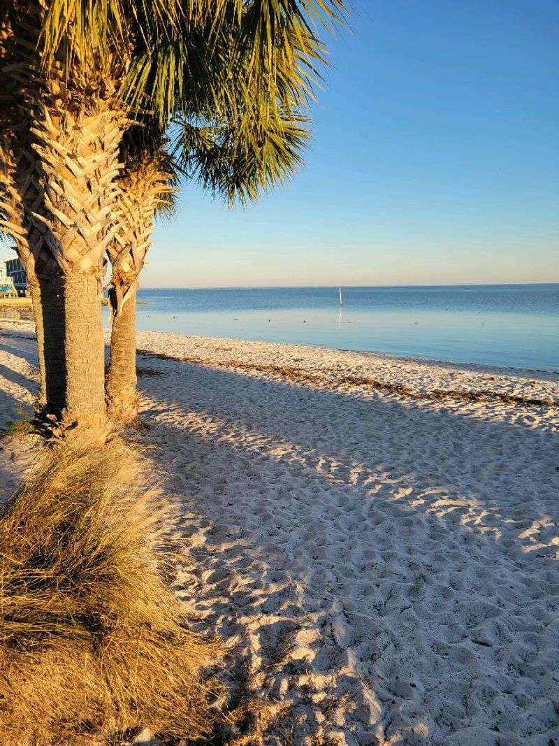 Slow Morning at the City Park Beach