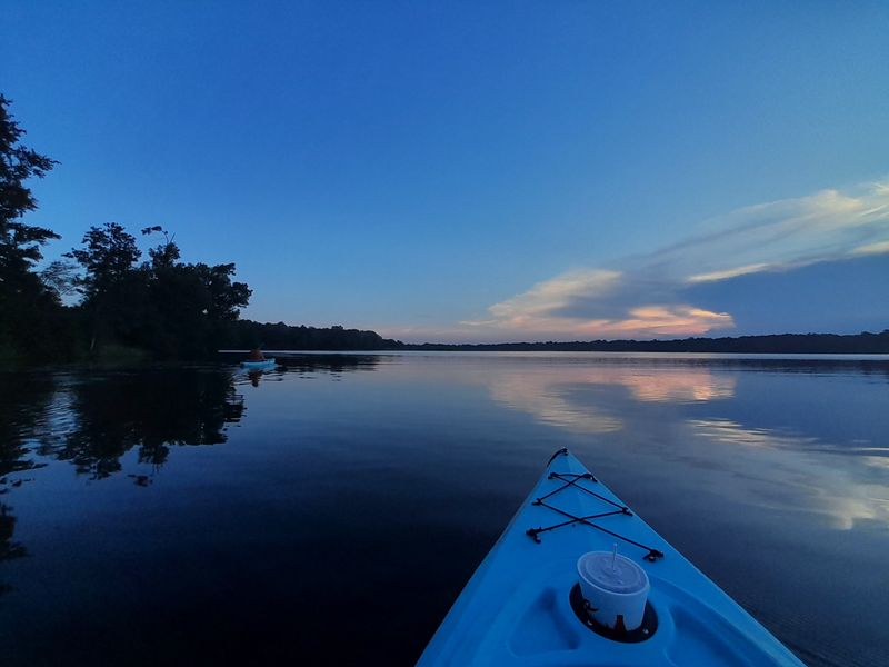 Nature Photography and Natural Beauty