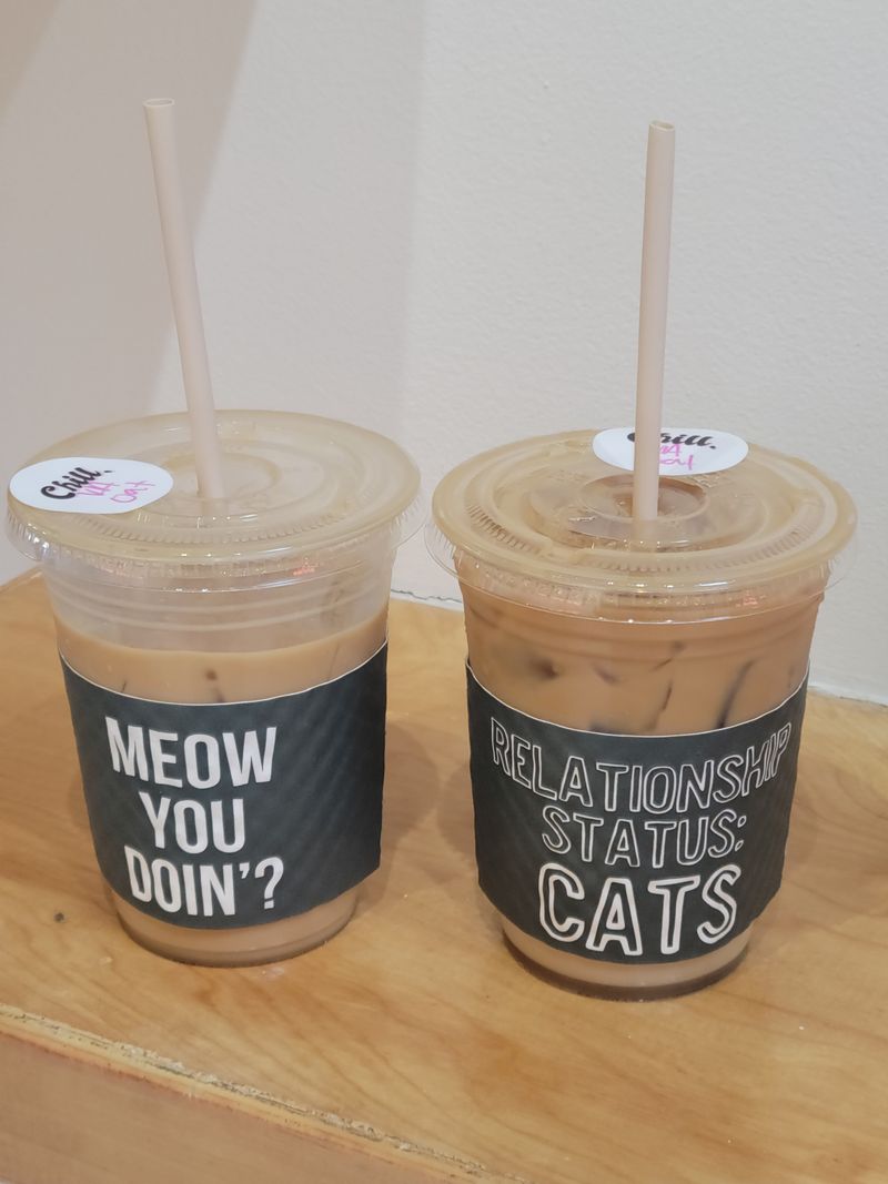 Coffee, Calm, Repeat: Sips To Pair With Purrs