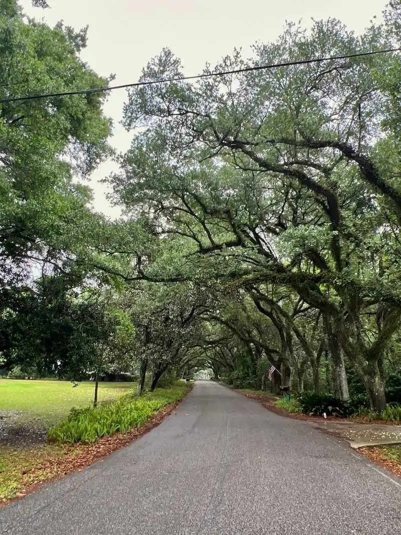 Bike And Bite Downtown Loop