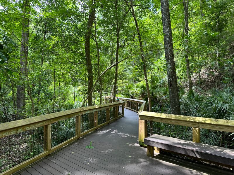 Mike Roess Gold Head Branch State Park Campground &mdash; Keystone Heights, Florida