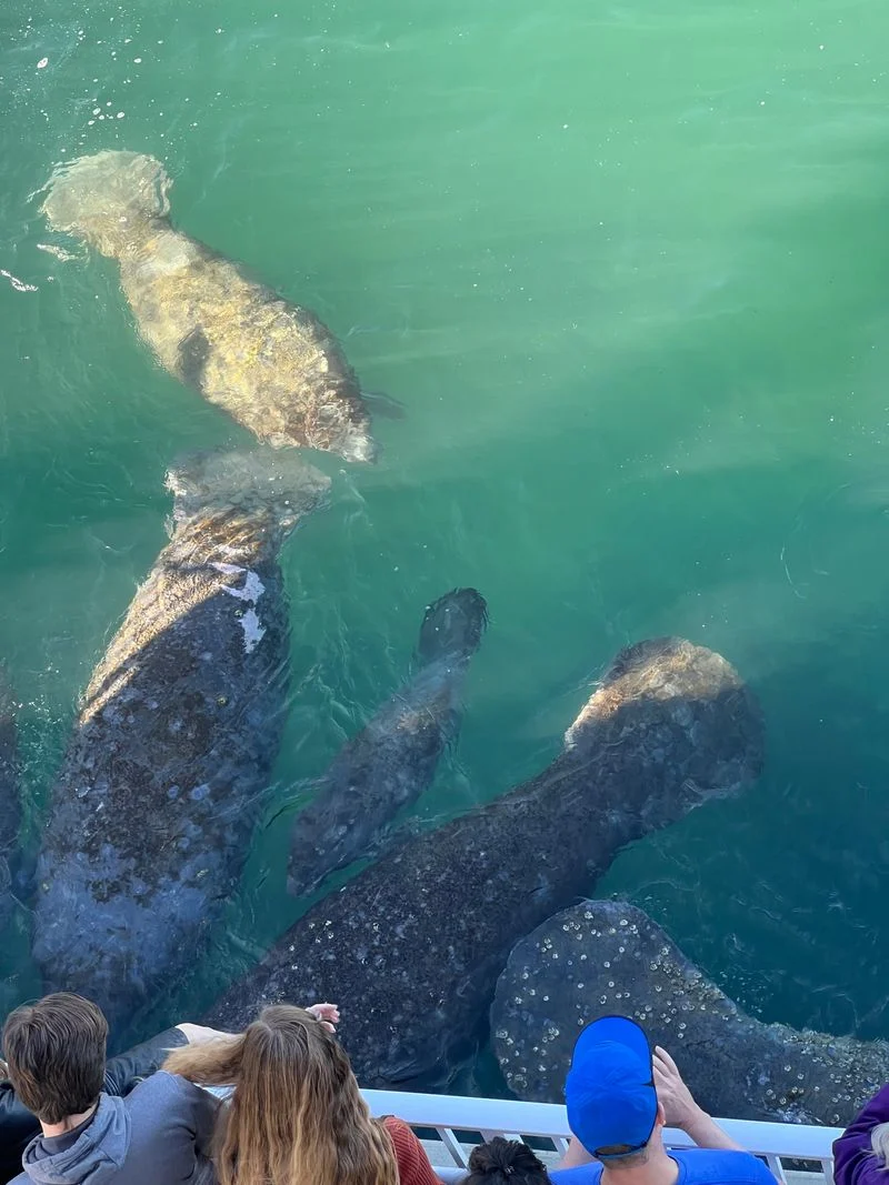 Manatee Lagoon (West Palm Beach)