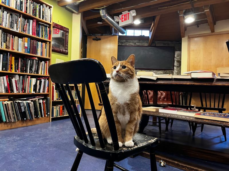 Voyageur Book Shop (Milwaukee)
