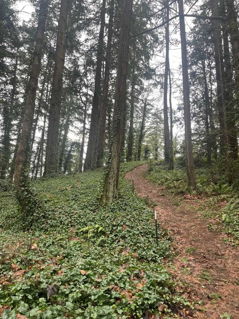 Castle Rock Fire Lookout &mdash; Castle Rock, Washington