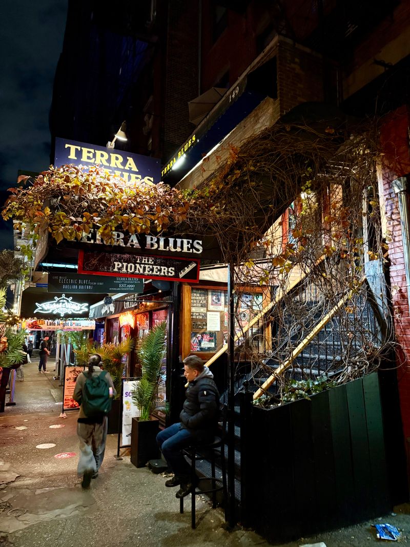 Terra Blues
