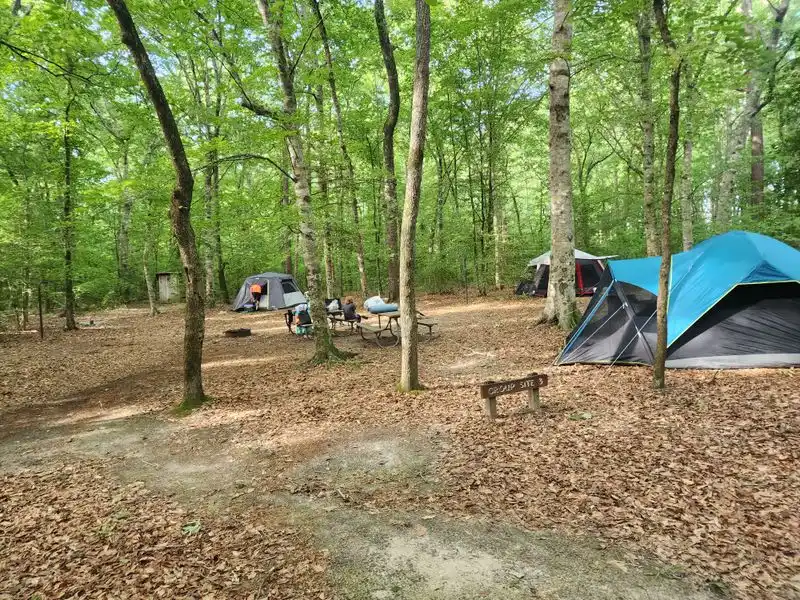 Camping Options and Tips