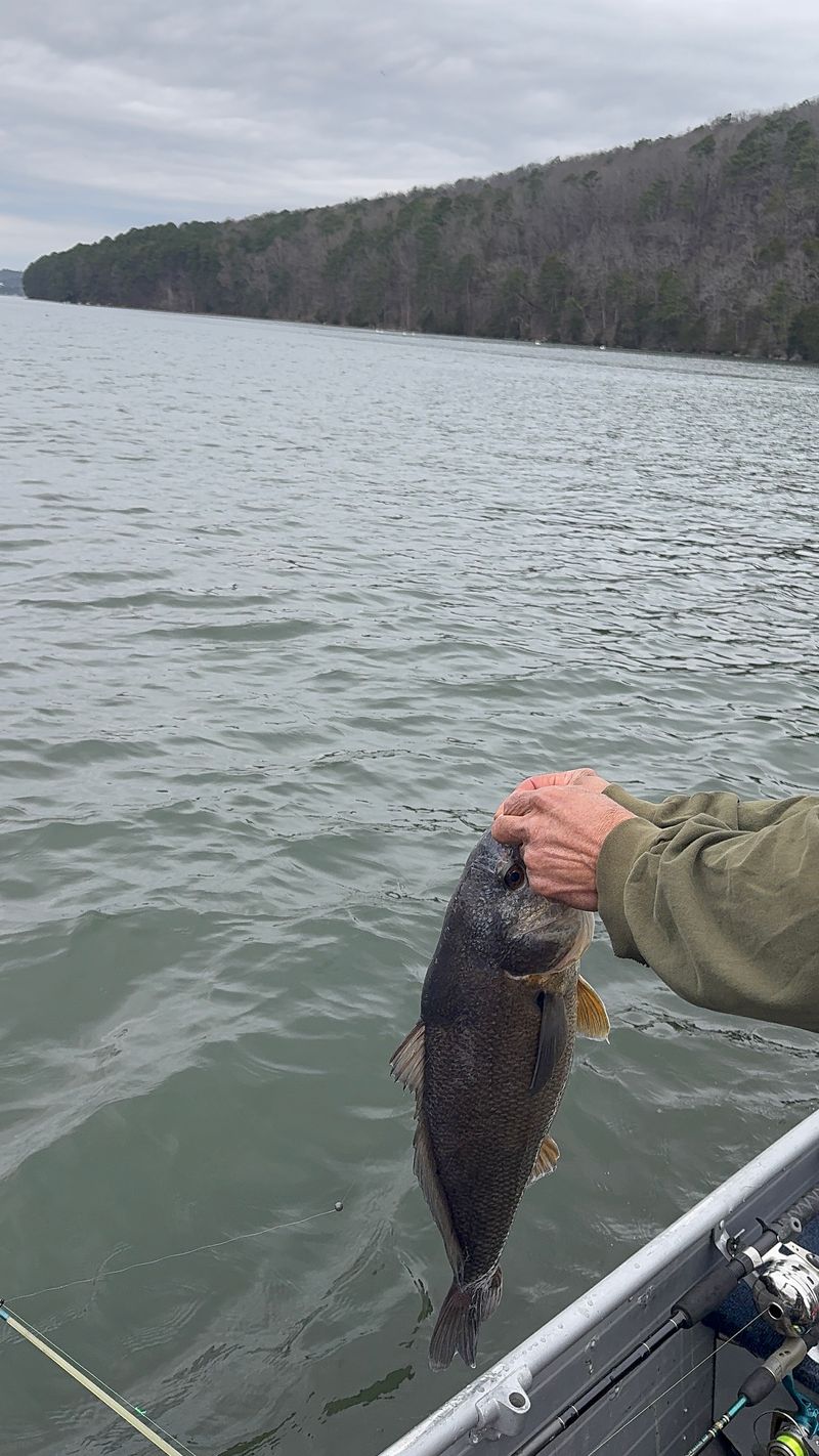 Fishing Hotspots and Tournament Vibes