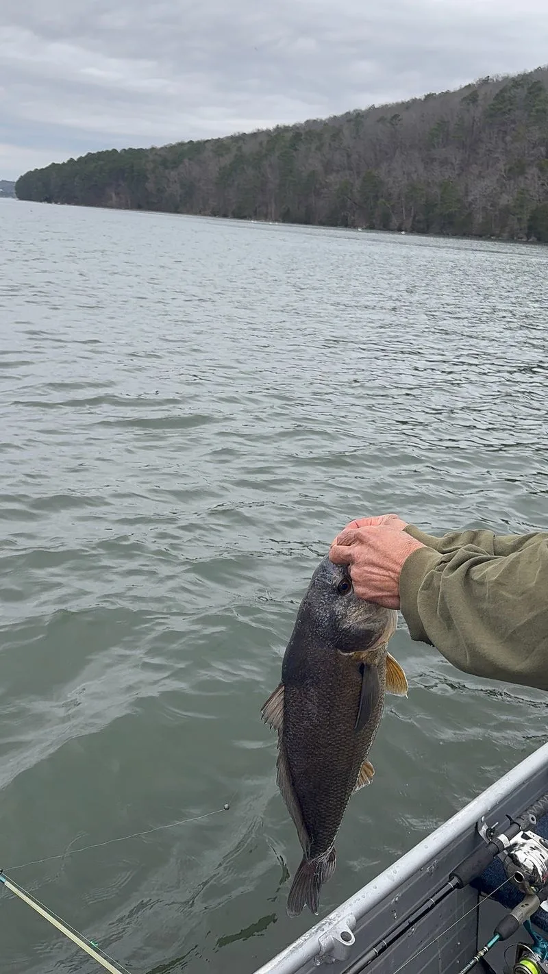 Fishing Hotspots and Tournament Vibes