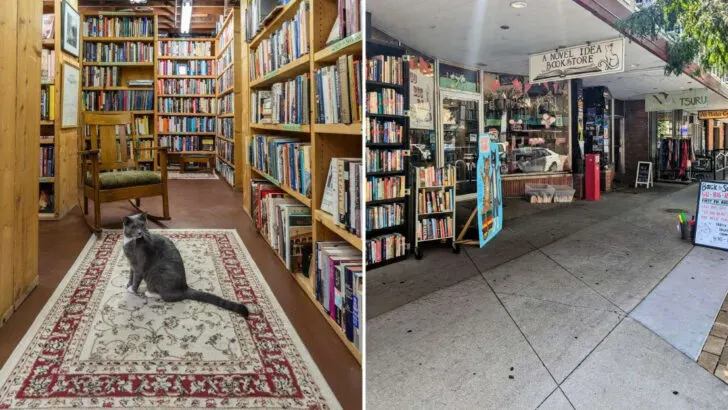 Book lovers in Nebraska plan hours around exploring this used bookstore