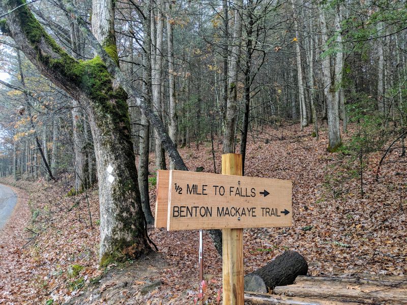 Navigating the Trail