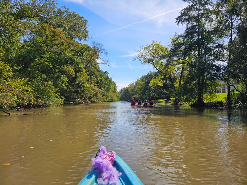 Parks, Swamps, and Wildlife Along the Byway