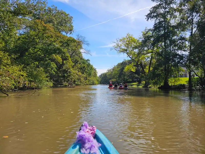 Parks, Swamps, and Wildlife Along the Byway