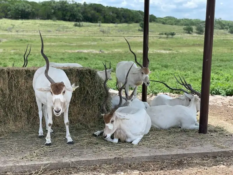 Photography tips: windows, light, and clean compositions