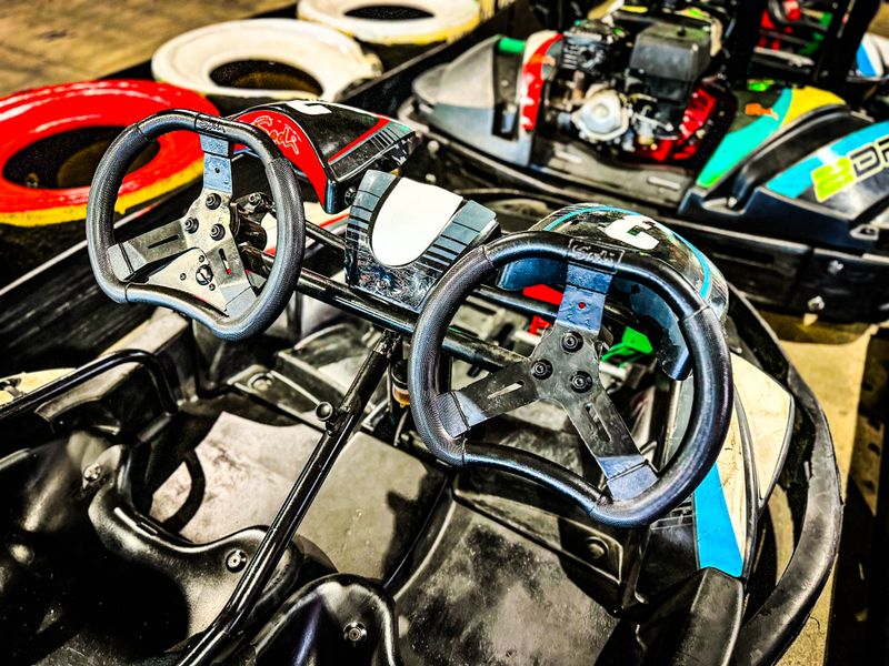 Family-Friendly Options and Two-Seat Karts