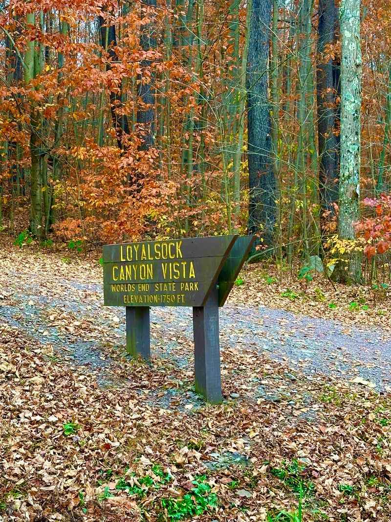 Loyalsock Trail Connections and Day Hikes