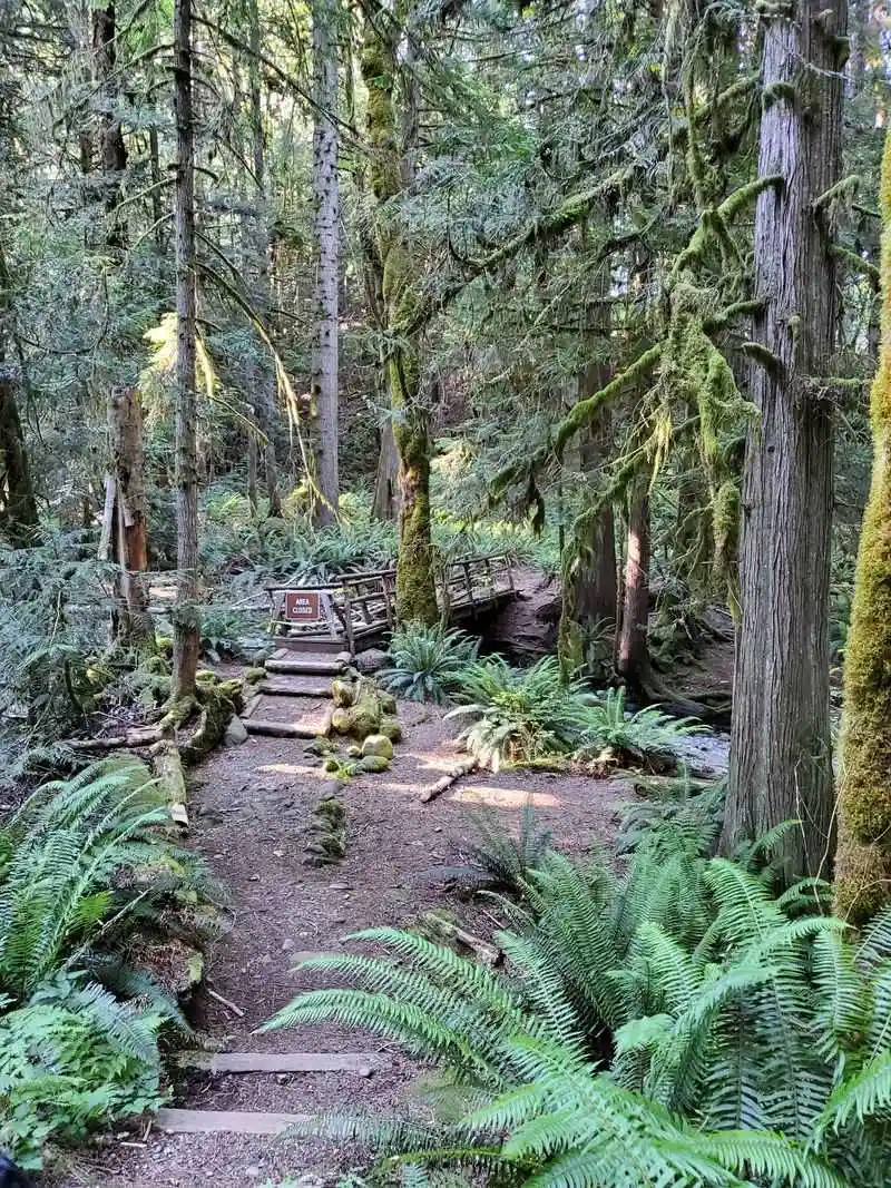 Trails That Reward Slow Feet