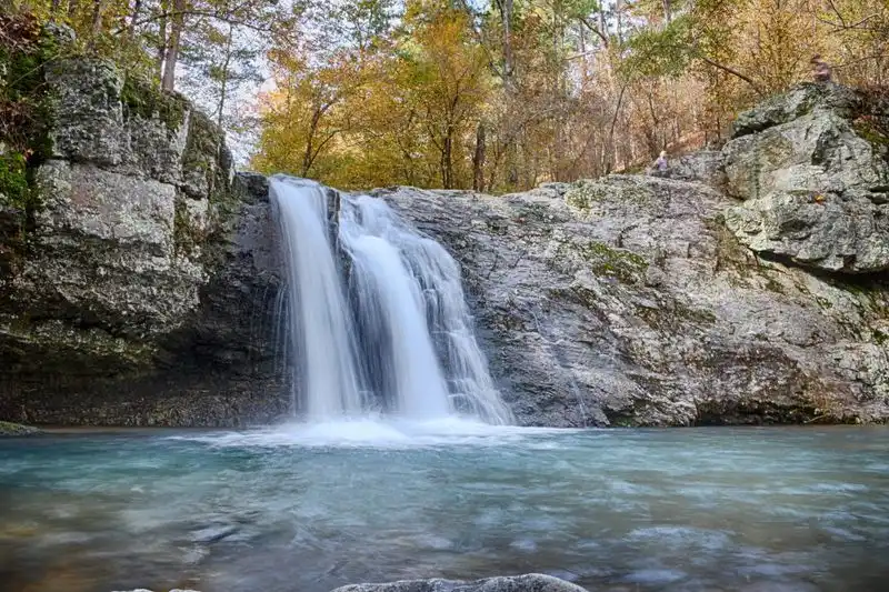 Waterfalls and Wildlife