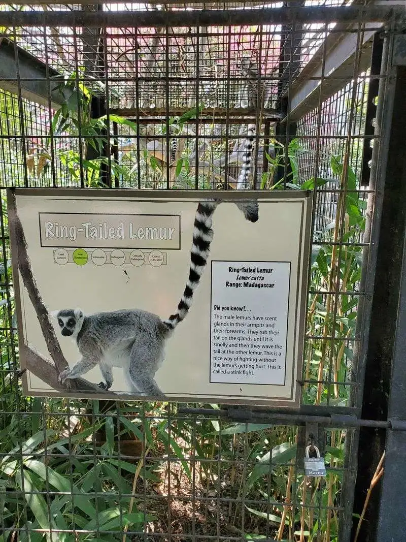 Walk-through zoo highlights