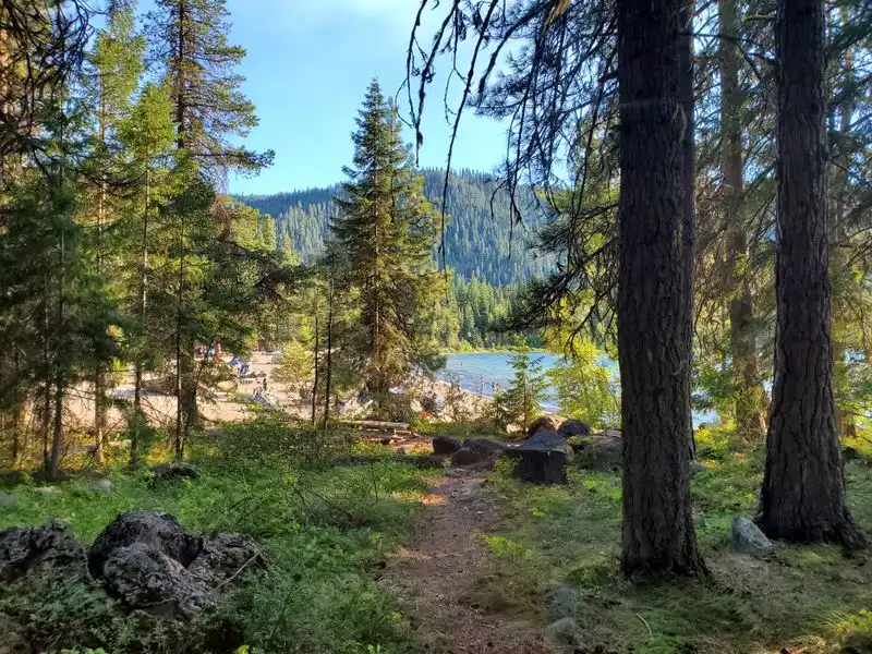 Cozy campsite setup that feels like home