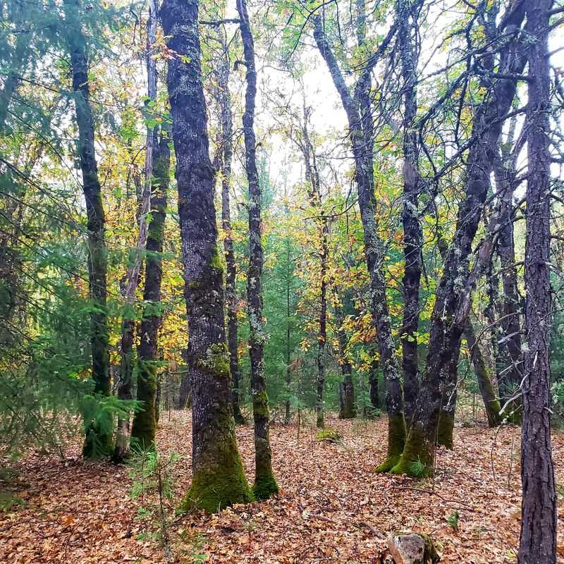 A Photographer&rsquo;s Dream