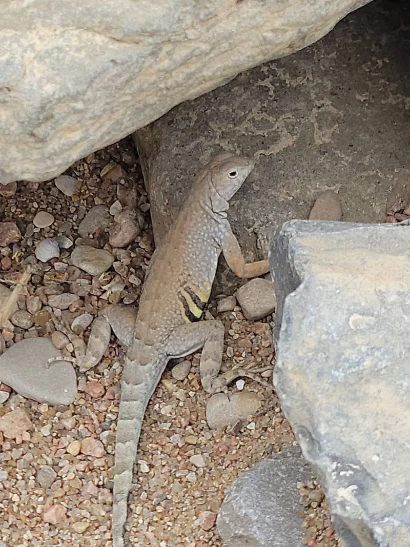 Exceptional Birdwatching and Wildlife Viewing