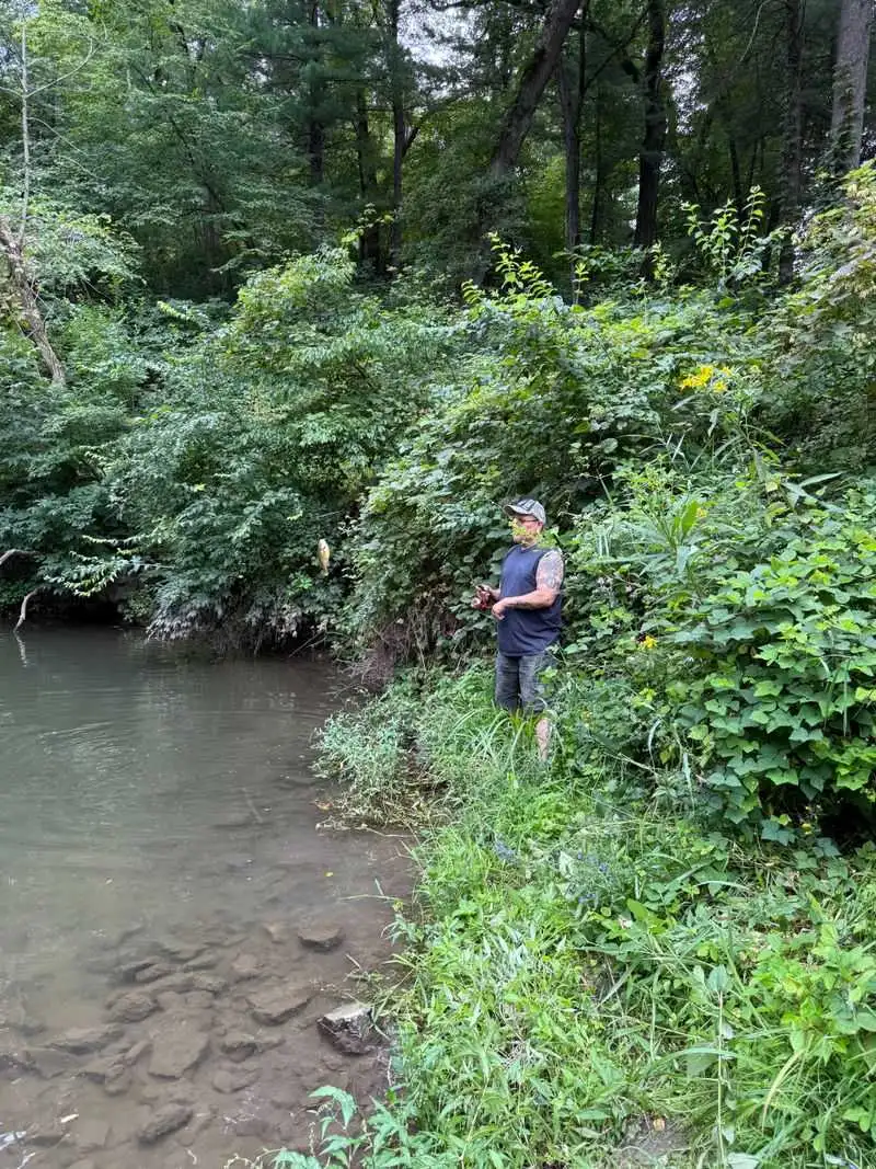 Fishing the Creek and Trout Tips