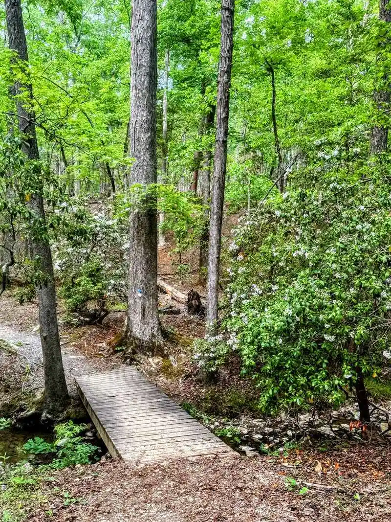 Bridle Trails and Horseback Riding