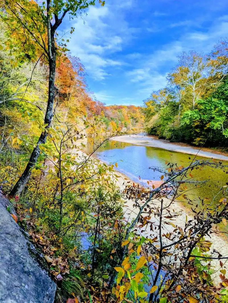 Seasonal Tips: Spring Wildflowers to Fall Color