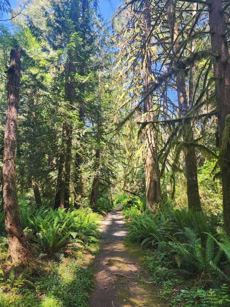 Trails, Loops, and Short Woodland Wanders