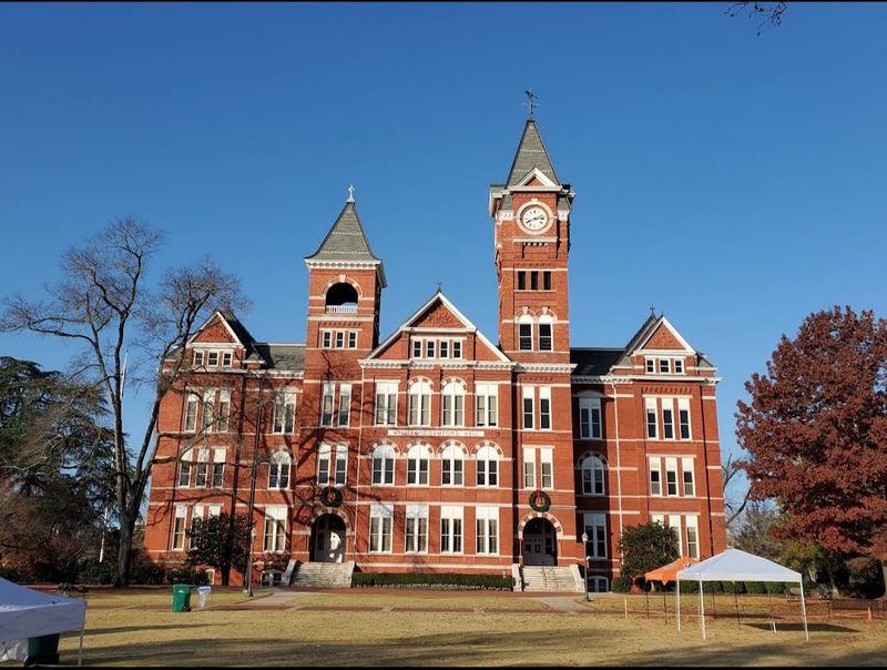 Auburn
