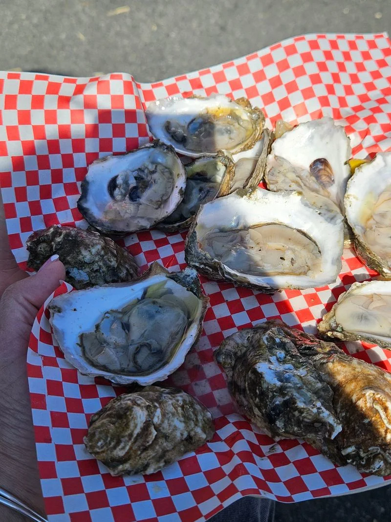 Wellfleet OysterFest